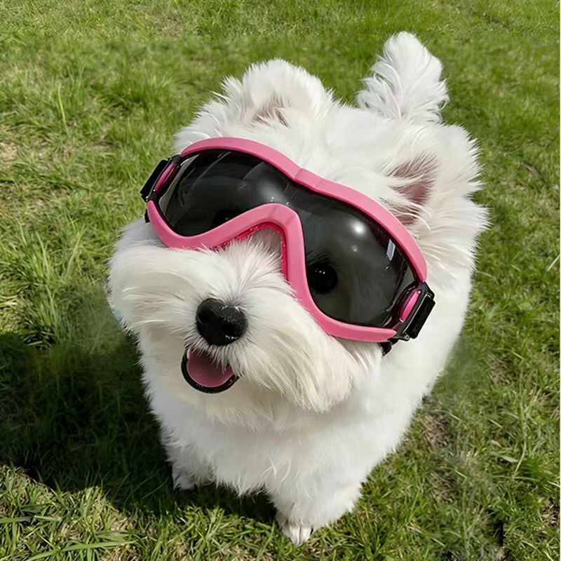 Dog Goggles for Small Medium D - огляд і ціна Sunglass Retainer Cord