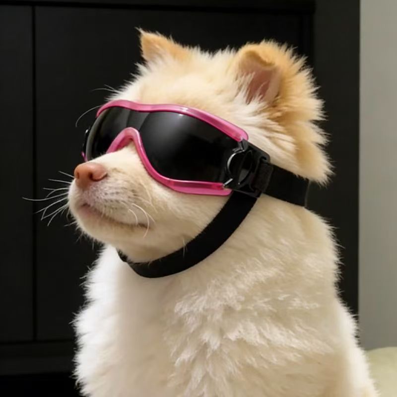 Dog Goggles for Small Medium D - огляд і ціна Sunglass Retainer Cord